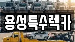 용성특수렉카