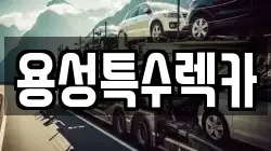 용성특수렉카