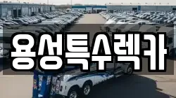 용성특수렉카