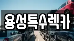 용성특수렉카