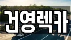 건영렉카