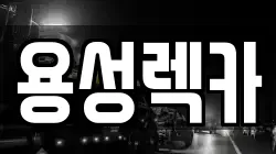 경북 경산시 렉카, 특수렉카, 차량탁송, 견인운송