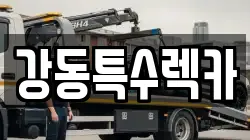 강동특수렉카