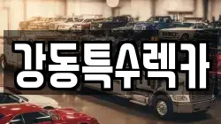 경북 경주시 덕동 렉카, 특수렉카, 차량탁송, 견인운송