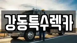 경북 경주시 도지동 렉카, 특수렉카, 차량탁송, 견인운송