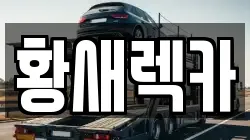 황새렉카