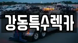 경북 경주시 배동 렉카, 특수렉카, 차량탁송, 견인운송