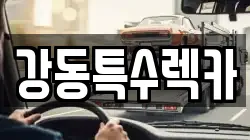 경북 경주시 율동 렉카, 특수렉카, 차량탁송, 견인운송