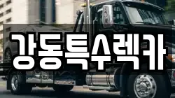 경북 경주시 탑동 렉카, 특수렉카, 차량탁송, 견인운송