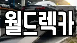 월드렉카