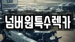 넘버원특수렉카