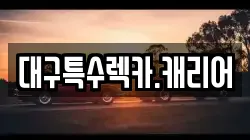대구특수렉카.캐리어