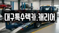 대구특수렉카.캐리어