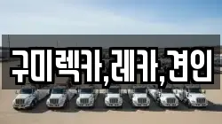 구미렉카,레카,견인