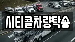 시티콜차량탁송