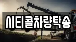 시티콜차량탁송