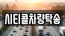 시티콜차량탁송
