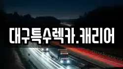 대구특수렉카.캐리어