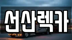 선산렉카