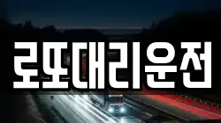 로또대리운전