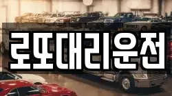 로또대리운전