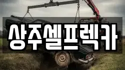 경북 상주시 공검면 렉카, 특수렉카, 차량탁송, 견인운송