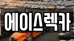 에이스렉카