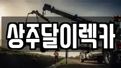 상주달이렉카