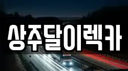 상주달이렉카