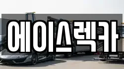 에이스렉카