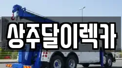 상주달이렉카