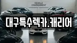 대구특수렉카.캐리어