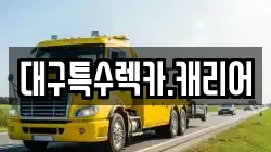 대구특수렉카.캐리어
