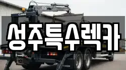 경북 성주군 성주읍 렉카, 특수렉카, 차량탁송, 견인운송