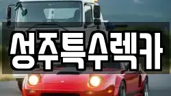 경북 성주군 렉카, 특수렉카, 차량탁송, 견인운송
