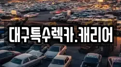 대구특수렉카.캐리어
