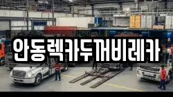 안동렉카두꺼비레카