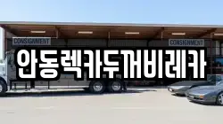 안동렉카두꺼비레카