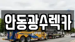 안동광수렉카