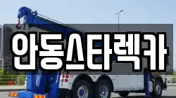 안동스타렉카