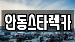 안동스타렉카