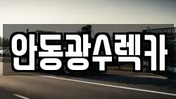 안동광수렉카