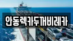 안동렉카두꺼비레카