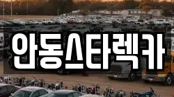 안동스타렉카