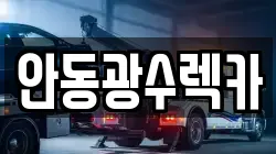 안동광수렉카