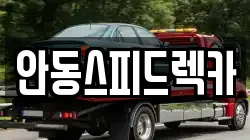 경북 안동시 이천동 렉카, 특수렉카, 차량탁송, 견인운송