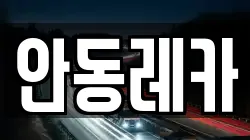 안동레카