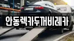안동렉카두꺼비레카