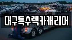 대구특수렉카캐리어