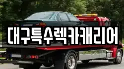 대구특수렉카캐리어